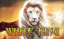 MVPVIVA white king